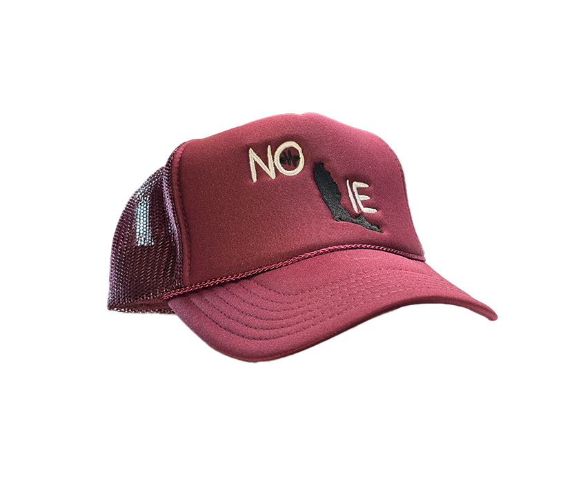 NO LIE TRUCKER HAT