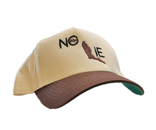 NO LIE SNAPBACK